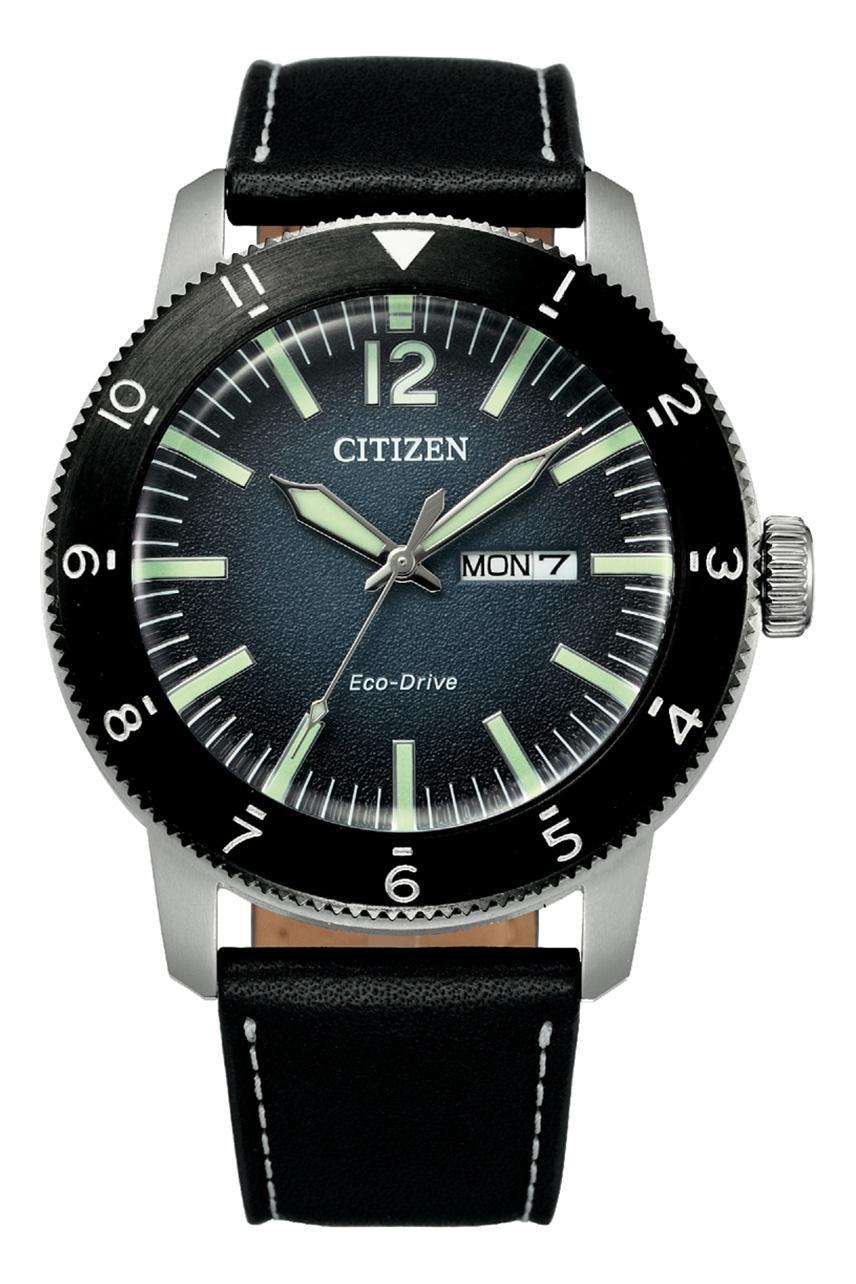 AW0077-19L MEN WATCH